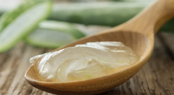 Can You Use Aloe Vera on Your Vag? We Talk All Things Aloe — And More